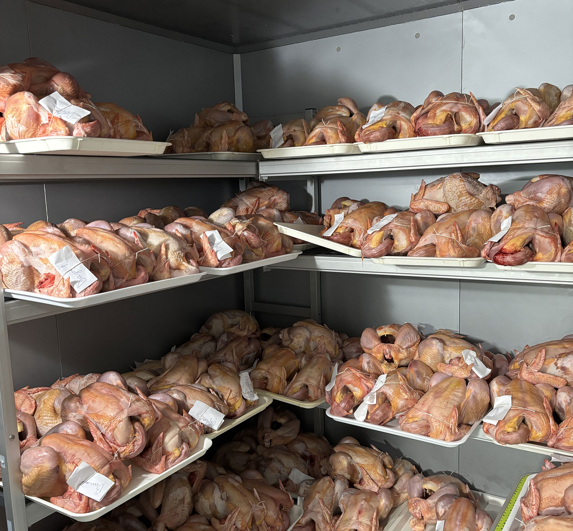 Viande en vente directe (87)