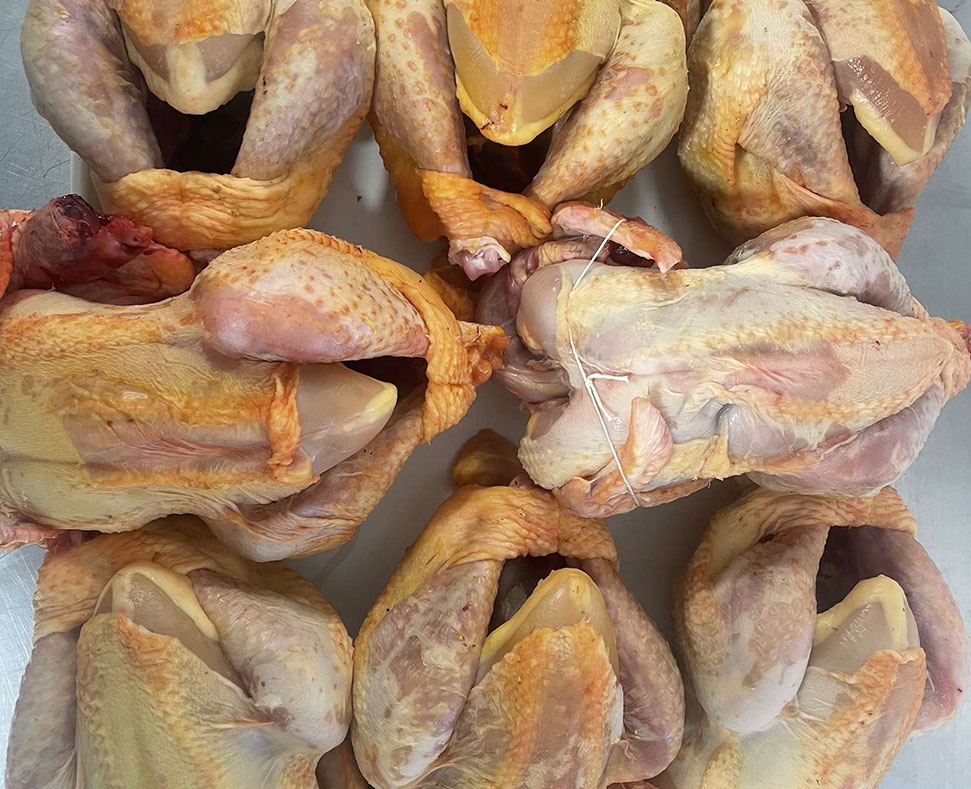 Vente directe de poulets fermiers à Aixe-sur-Vienne